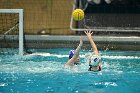 WWPolo vs CC  Wheaton College Women’s Water Polo compete in their sports inaugural match vs Connecticut College. - Photo By: KEITH NORDSTROM : Wheaton, water polo, inaugural